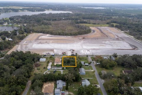 Land in Umatilla, Florida № 1798686 - photo 8