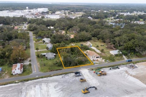 Land in Umatilla, Florida № 1798686 - photo 3