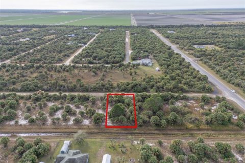 Land in Palm Bay, Florida № 2162981 - photo 2