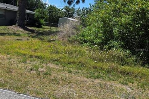 Land in Port Charlotte, Florida № 2211759 - photo 4