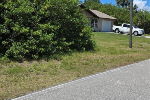 Land in Port Charlotte, Florida № 2211759 - photo 2