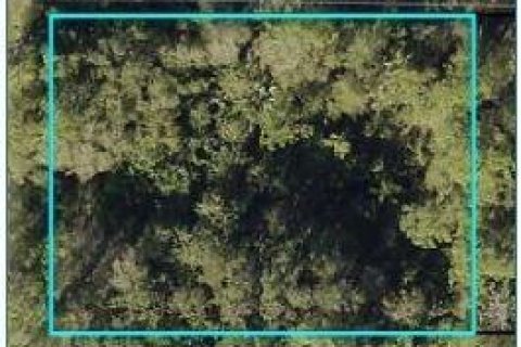 Land in Fellsmere, Florida № 1103409 - photo 1