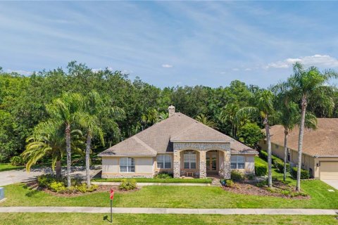 Casa en Lutz, Florida 4 dormitorios, 323.76 m2 № 2201570