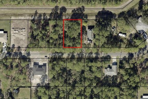 Land in Palm Bay, Florida № 2160482