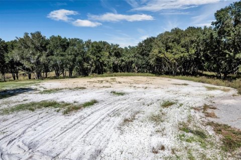 Land in Umatilla, Florida № 824500 - photo 3