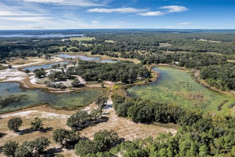 Land in Umatilla, Florida № 824500 - photo 19
