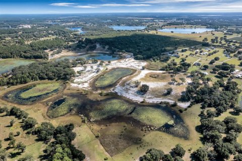 Land in Umatilla, Florida № 824500 - photo 10
