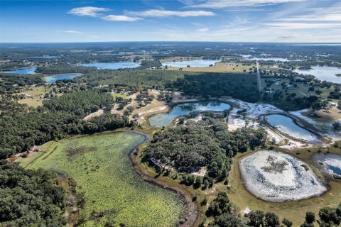 Land in Umatilla, Florida № 824500 - photo 14
