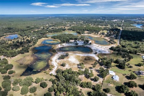 Land in Umatilla, Florida № 824500 - photo 8