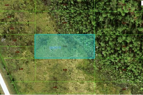 Terreno en Polk City, Florida № 2164077