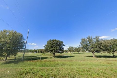 Land in Polk City, Florida № 2164077 - photo 3