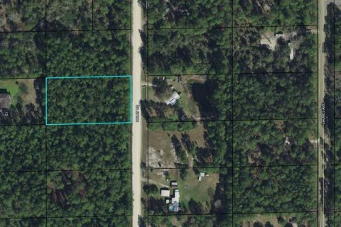 Terrain à Bunnell, Floride № 2205586