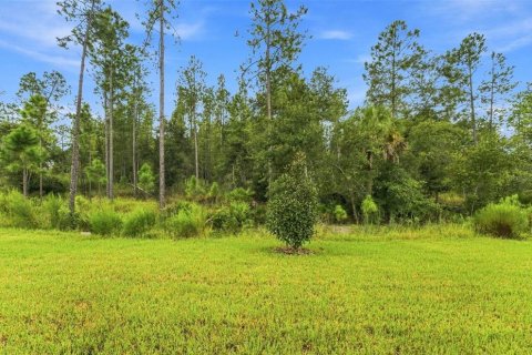 House in Zephyrhills, Florida 5 bedrooms, 414.81 sq.m. № 2341687 - photo 26