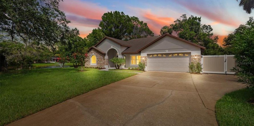 House in Ormond Beach, Florida 4 bedrooms, 214.51 sq.m. № 1866580