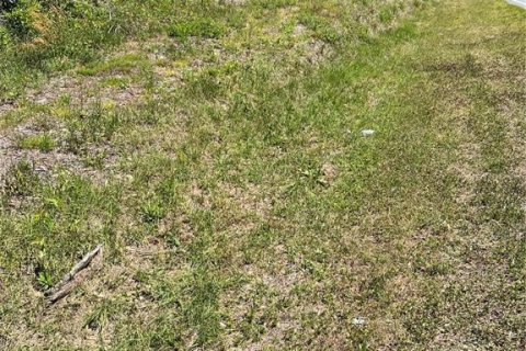 Terreno en venta en Ocala, Florida № 2093950 - foto 3
