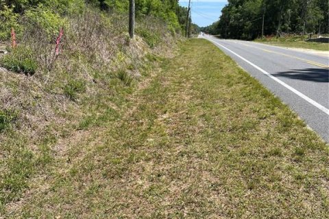 Terreno en Ocala, Florida № 2093950