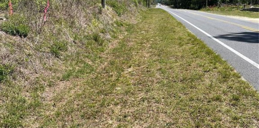 Terreno en Ocala, Florida № 2093950