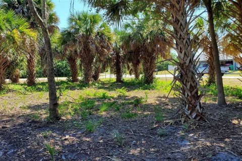 Terreno en venta en Port Charlotte, Florida № 1053465 - foto 7