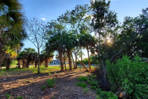 Terreno en venta en Port Charlotte, Florida № 1053465 - foto 3