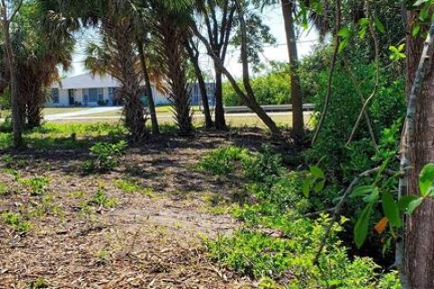Terreno en venta en Port Charlotte, Florida № 1053465 - foto 5
