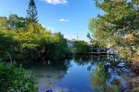 Terreno en venta en Port Charlotte, Florida № 1053465 - foto 2