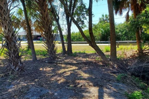 Terreno en venta en Port Charlotte, Florida № 1053465 - foto 8