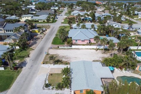 Land in New Smyrna Beach, Florida № 1597272 - photo 14