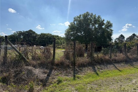 Купить земельный участок в Клуистон, Флорида № 2057705 - фото 3