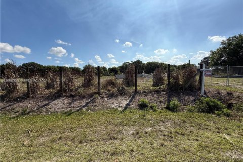 Купить земельный участок в Клуистон, Флорида № 2057705 - фото 13