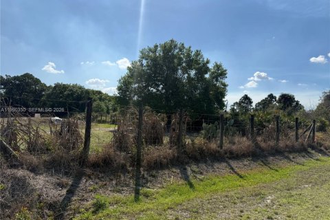 Купить земельный участок в Клуистон, Флорида № 2057705 - фото 2