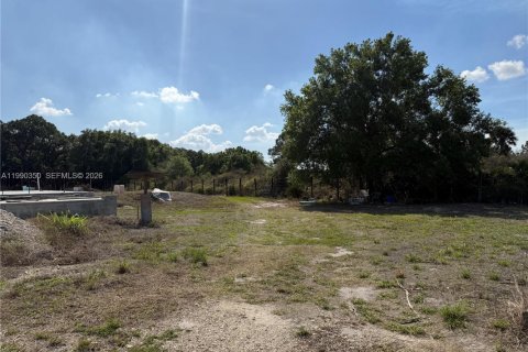 Купить земельный участок в Клуистон, Флорида № 2057705 - фото 5