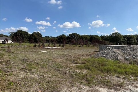 Купить земельный участок в Клуистон, Флорида № 2057705 - фото 7