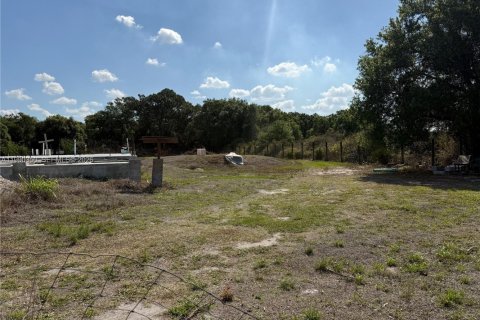 Купить земельный участок в Клуистон, Флорида № 2057705 - фото 10