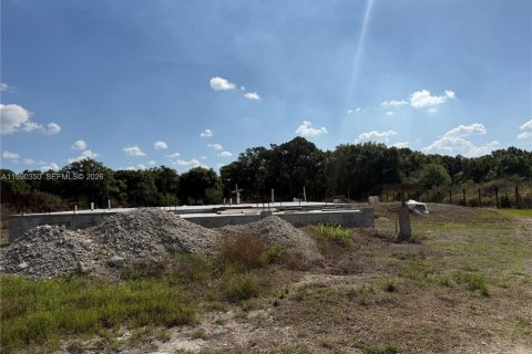 Купить земельный участок в Клуистон, Флорида № 2057705 - фото 6