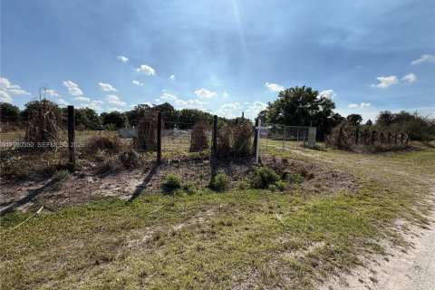 Купить земельный участок в Клуистон, Флорида № 2057705 - фото 12