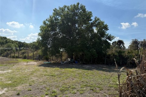 Купить земельный участок в Клуистон, Флорида № 2057705 - фото 11