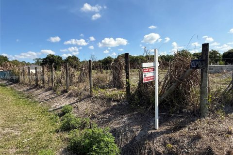 Купить земельный участок в Клуистон, Флорида № 2057705 - фото 8