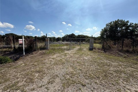 Купить земельный участок в Клуистон, Флорида № 2057705 - фото 9