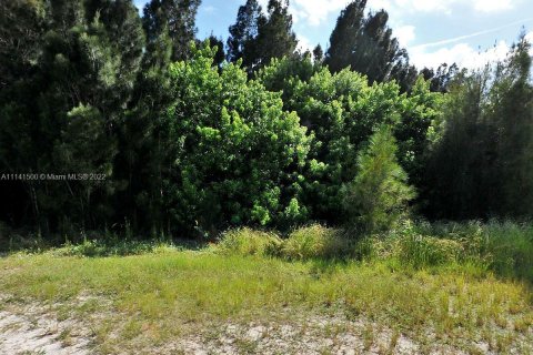 Commercial property in St. Lucie, Florida № 1694621 - photo 3
