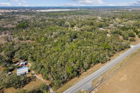 Land in Dade City, Florida № 1520011 - photo 19