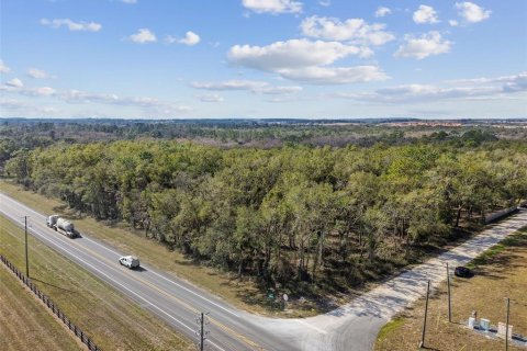 Land in Dade City, Florida № 1520011 - photo 21