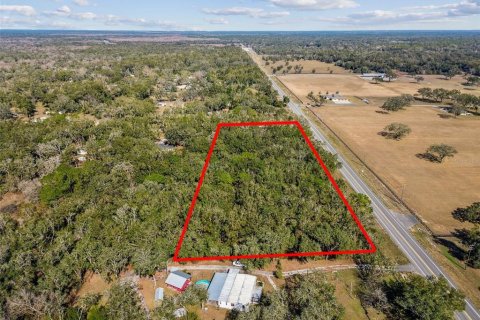 Land in Dade City, Florida № 1520011 - photo 17