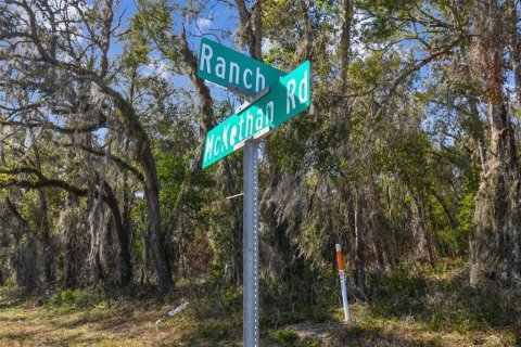 Land in Dade City, Florida № 1520011 - photo 28