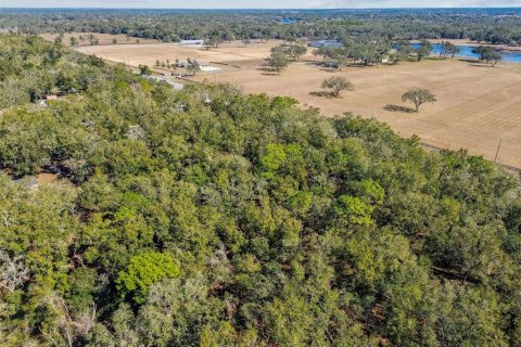 Land in Dade City, Florida № 1520011 - photo 4