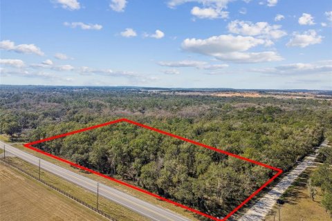 Land in Dade City, Florida № 1520011 - photo 9