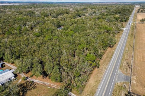Land in Dade City, Florida № 1520011 - photo 6
