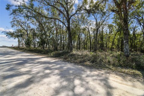 Land in Dade City, Florida № 1520011 - photo 22