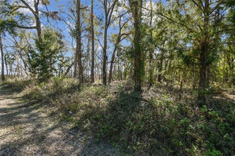 Land in Dade City, Florida № 1520011 - photo 26