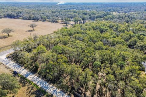 Land in Dade City, Florida № 1520011 - photo 3
