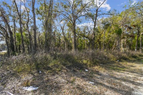 Land in Dade City, Florida № 1520011 - photo 27